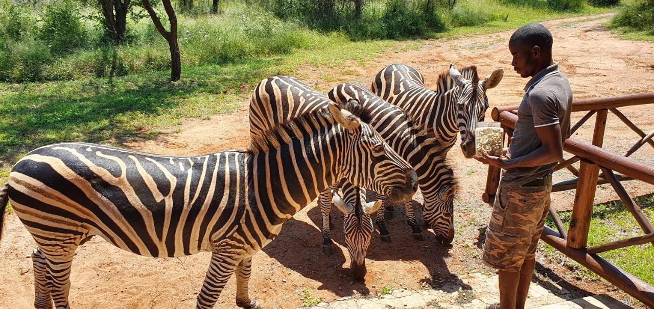 Giraffe Plains Villa Marloth Park Eksteriør billede