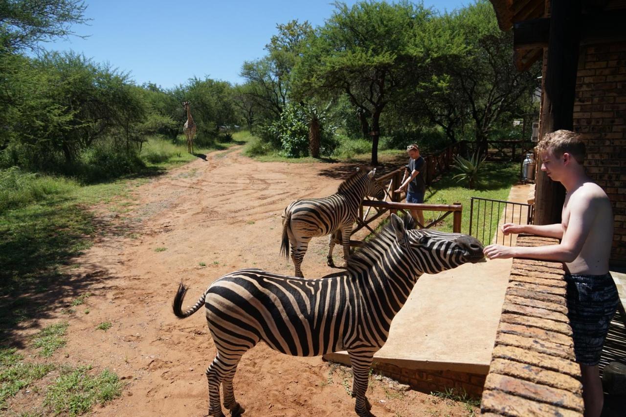 Giraffe Plains Villa Marloth Park Eksteriør billede