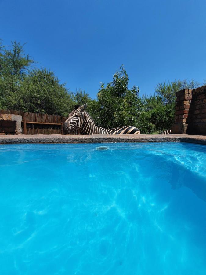 Giraffe Plains Villa Marloth Park Eksteriør billede
