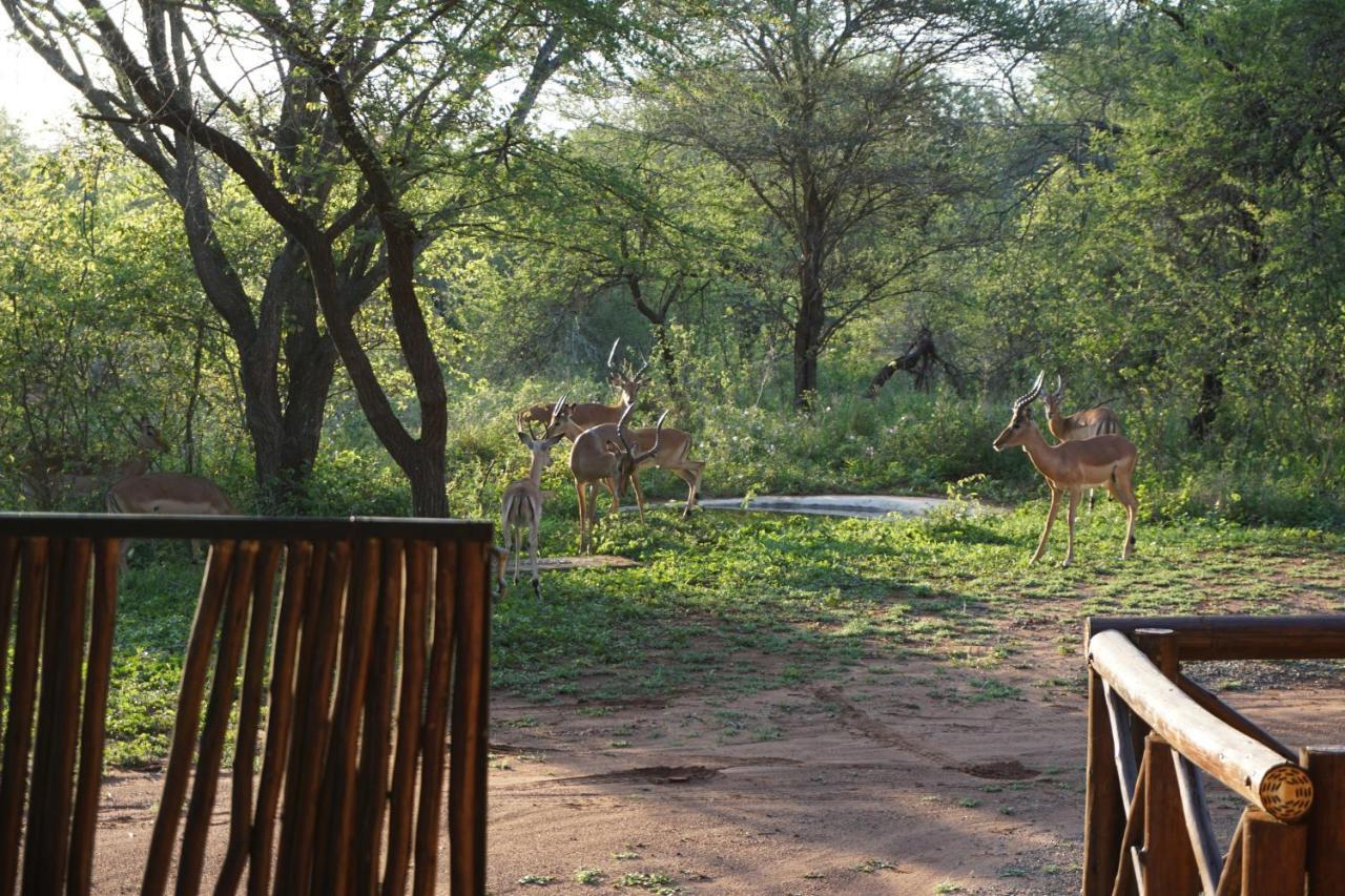 Giraffe Plains Villa Marloth Park Eksteriør billede