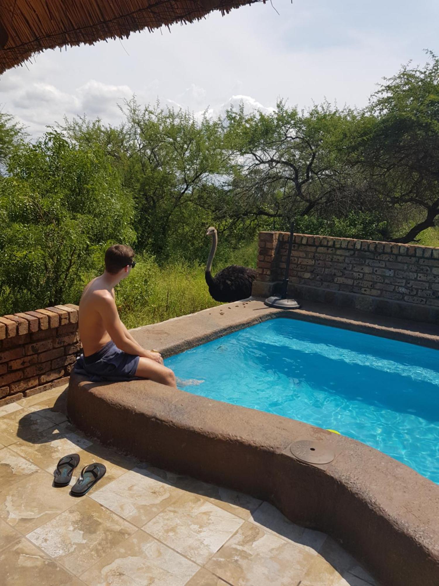 Giraffe Plains Villa Marloth Park Eksteriør billede
